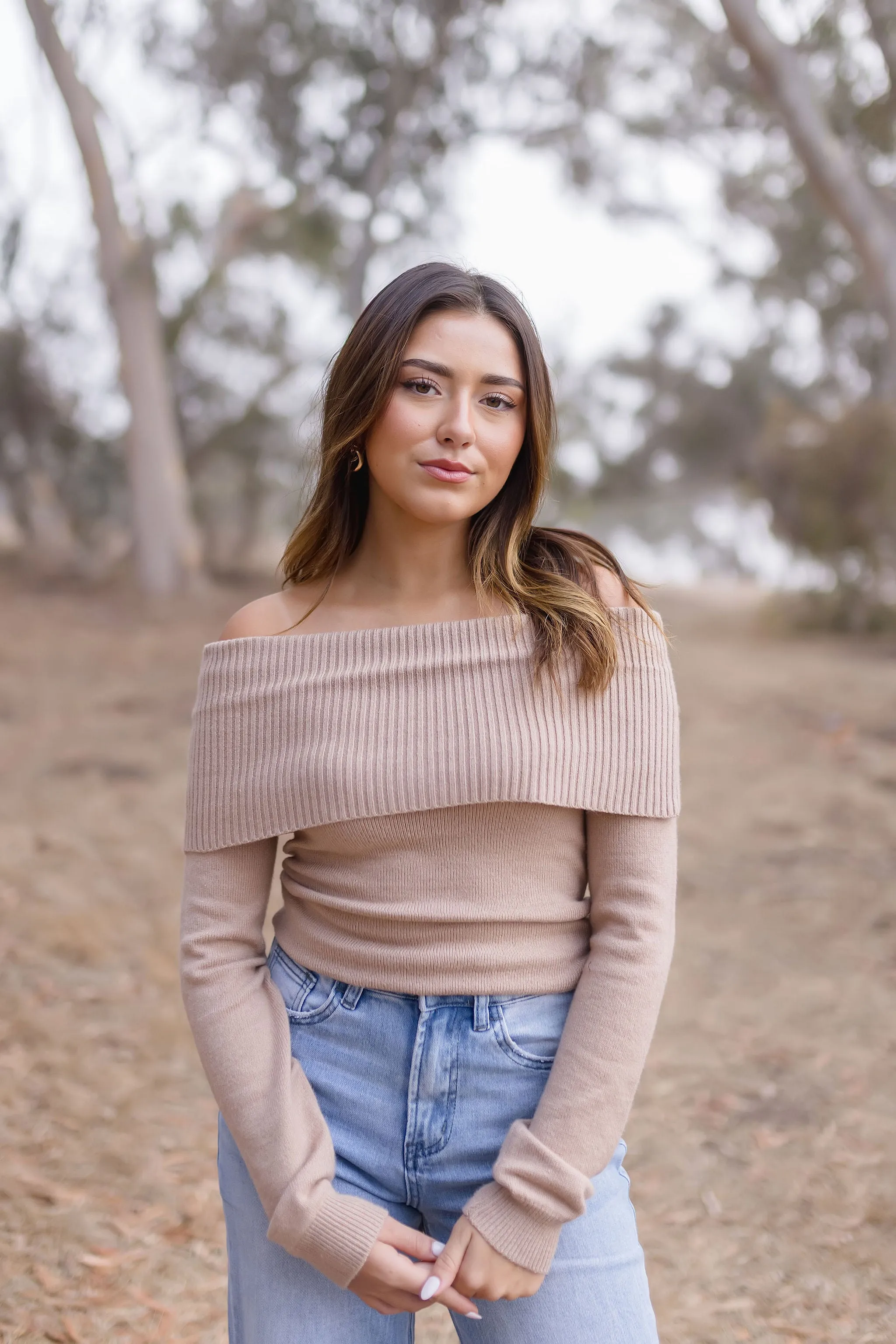 Brynn Long Sleeve Off The Shoulder Sweater Top Taupe